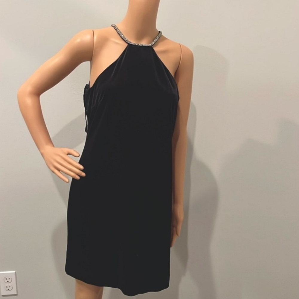 Alex Marie Elegant Black Sleeveless Dress